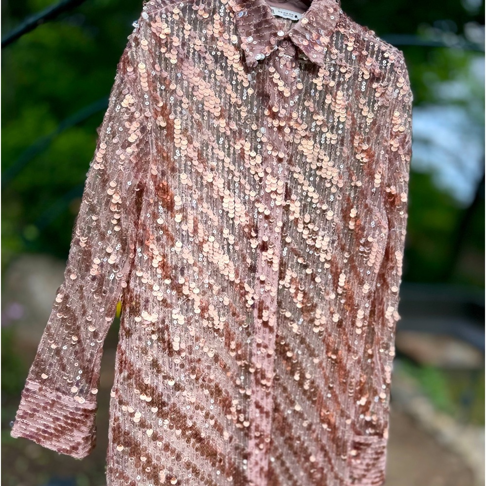 ZARA BUTTON DOWN SEQUINED SHEER DUSTER DRESS - Picture 12 of 14